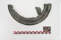 Foto von Bronzephalere (NHMW-PRAE-024394)